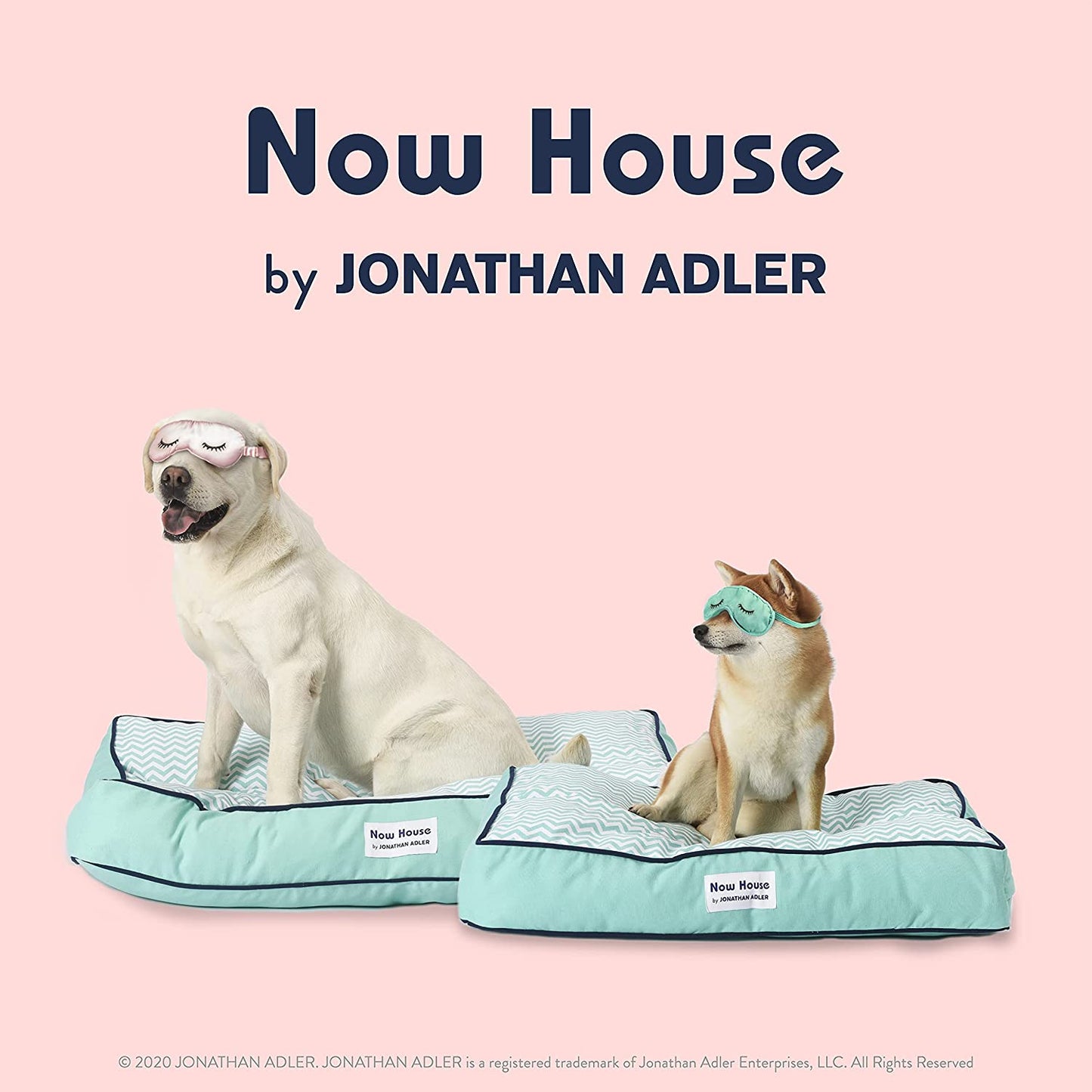 Now House for Pets by  Teal Chevron Dog Bed, Small (Cotton, Removable Cover, 22X17X5 Inches, 25Lbs)